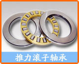 NSK推力滾子軸承